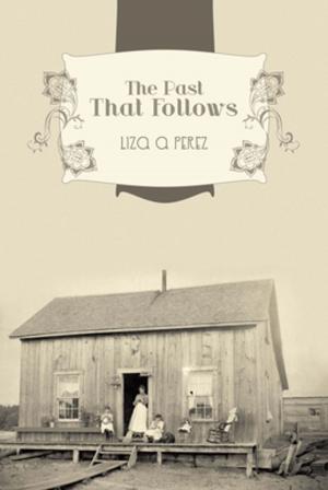 Cover of the book The Past That Follows by T. Craig Smith