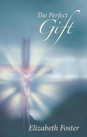 bigCover of the book The Perfect Gift by 