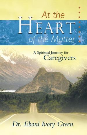 Cover of the book At the Heart of the Matter by Larry Woodruff