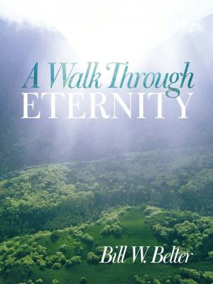 Book cover of A Walk Through Eternity