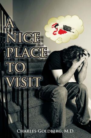 Cover of the book A Nice Place to Visit by Ray Melnik
