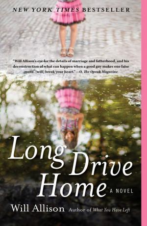 Cover of the book Long Drive Home by Cathy Day