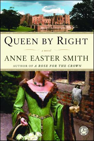 Cover of the book Queen By Right by Randy Susan Meyers