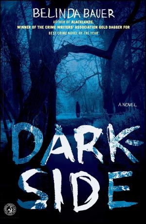 Cover of the book Darkside by Ron Fournier, Douglas B. Sosnik, Matthew J. Dowd