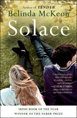 Cover of the book Solace by Linda Fairstein