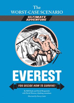Cover of the book The Worst-Case Scenario Ultimate Adventure Novel: Everest by Emma Sundh, Sarah Wing