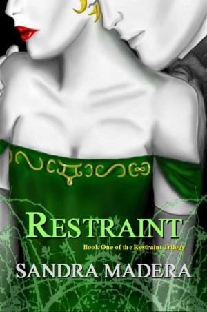Cover of the book Restraint: A Novel by Cameron Stelzer