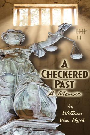 Book cover of A Checkered Past