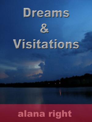 Book cover of Dreams And Visitations