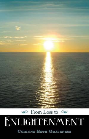 Cover of the book From Loss to Enlightenment by Lou Bishop