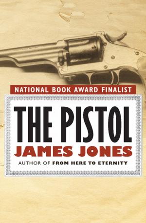 Book cover of The Pistol