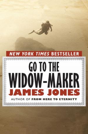 Cover of the book Go to the Widow-Maker by Nina Kiriki Hoffman