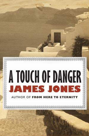 Cover of the book A Touch of Danger by Janet Dailey