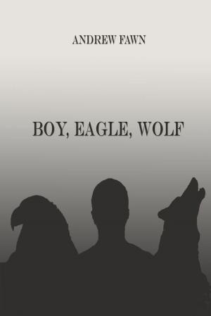 Cover of the book Boy Eagle Wolf by Courtenay Perks, Chris Hutton
