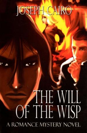 Cover of the book The Will Of The Wisp by Adam Yacoub