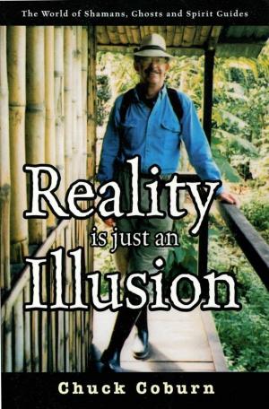 Book cover of Reality Is Just an Illusion
