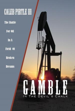Cover of the book Gamble in The Devil's Chalk by David Wolgroch