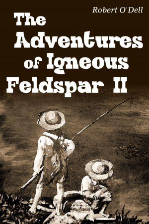 Cover of the book The Adventures of Igneous Feldspar II by Kristin Baird