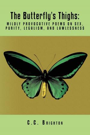 Cover of the book The Butterfly's Thighs by Ruth Burlingame Schwab Georgiou
