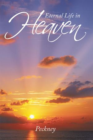 Cover of the book Eternal Life in Heaven by P.J. McCALLA