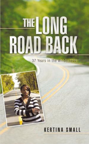 Cover of the book The Long Road Back by Helmer