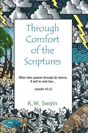 Cover of the book Through Comfort of the Scriptures by Charles Antencio