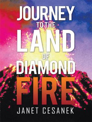 Cover of the book Journey to the Land of Diamond Fire by Helen Capone