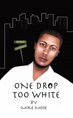 Cover of the book One Drop Too White by Michael J. Heitzler