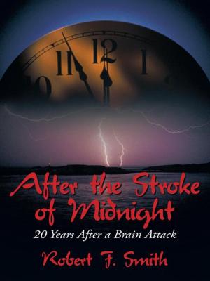 Cover of the book After the Stroke of Midnight by Jay Nuzum