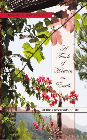 Cover of the book A Touch of Heaven on Earth by Stephanie Schwenkenbecher, Hannes Leitlein