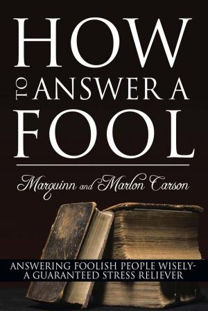 Cover of the book How to Answer a Fool by Shaun Mehta