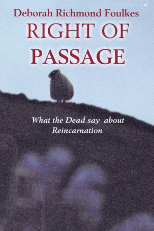 Cover of the book Right of Passage by Dan Barnwell