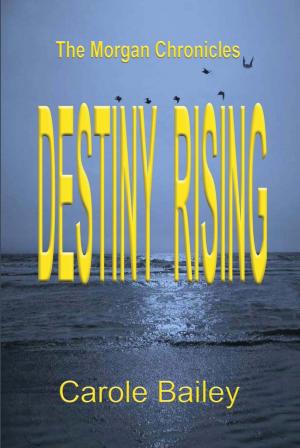 Cover of the book Destiny Rising by Stanley B. Graham