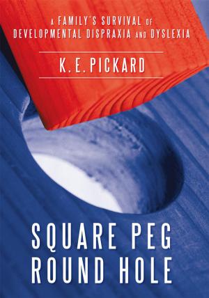 Cover of the book Square Peg Round Hole by Dr. Dariusz Tarczynski