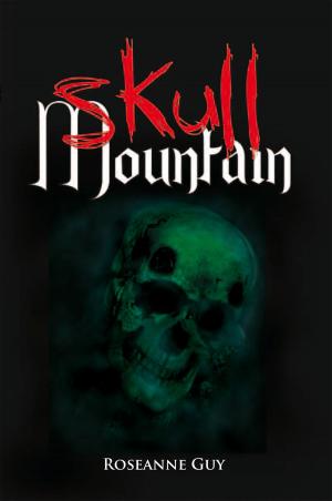 Cover of the book Skull Mountain by Jane Fisher Anderson