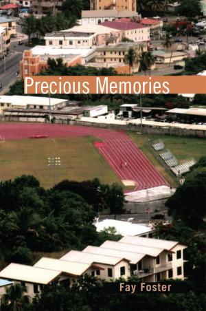 Cover of the book Precious Memories by Richard Paul Jones