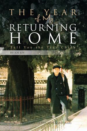 Cover of the book The Year of My Returning Home by Leila Israel Weisberg