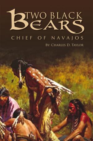 Cover of the book Two Black Bears by Jynell K. Hull