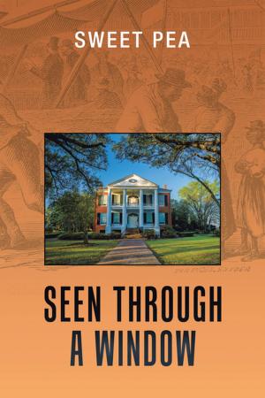 Cover of the book Seen Through a Window by Bill Vyers