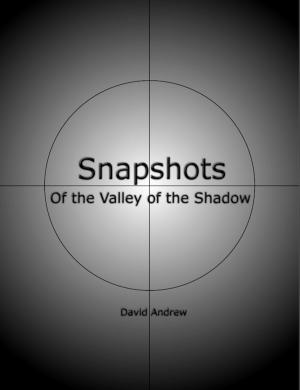 Book cover of Snapshots: Of the Valley of the Shadow