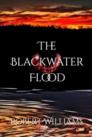 Book cover of The Blackwater Flood