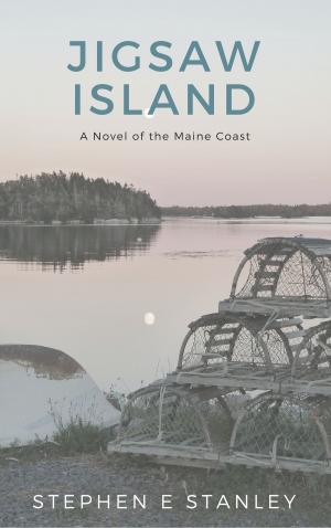 Cover of the book Jigsaw Island by L. E. Barrett
