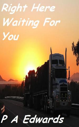 Cover of the book Right Here Waiting For You by Lucinda Lane