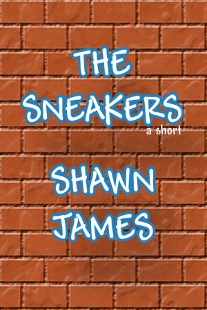 Book cover of The Sneakers
