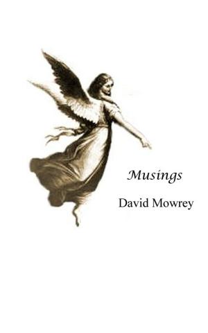 Cover of the book Musings by Berta Dandler