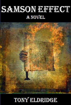 Cover of the book The Samson Effect: A Novel by Александр Сербин
