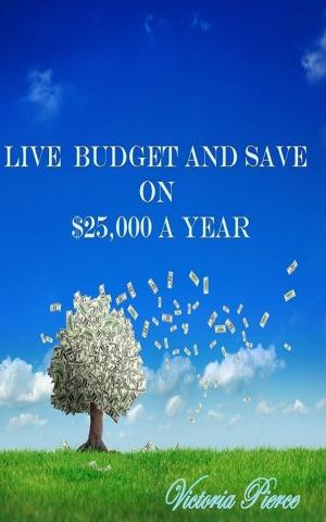 Cover of the book Live Budget and Save on $25,000 a Year by Robert Zimmerman