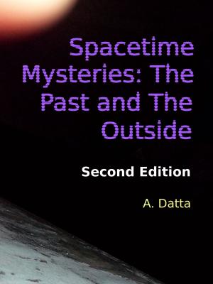 Book cover of Spacetime Mysteries: The Past and The Outside
