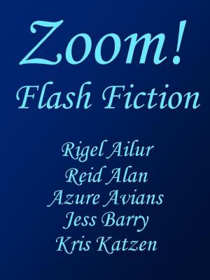 Cover of the book Zoom! by Jess Barry