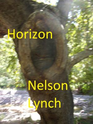 Book cover of Horizon